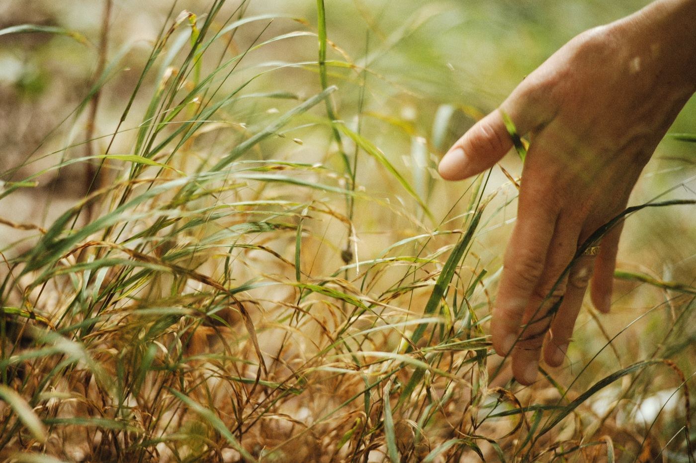 Detail ruky dotýkajúcej sa trávy – prítomnosť a pokoj